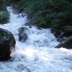 Sluice Box/Barneys Gulch Trail