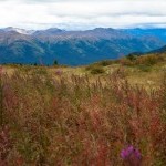 Spatzizi Plateau Wilderness Provincial Park