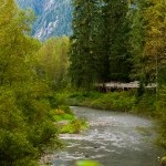 Fish Creek Wildlife Observation Site