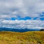 Iskut River Valley (Mountain Goat Viewing)