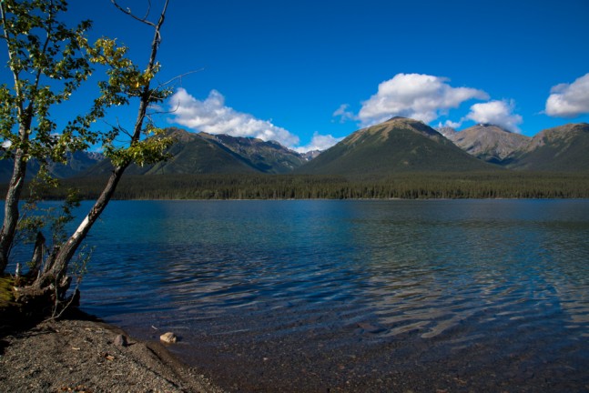 Kinaskan Lake Provincial Park