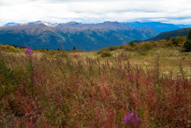 Spatzizi Plateau Wilderness Provincial Park