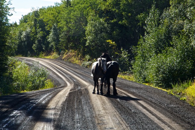 Glenora