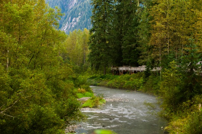 Fish Creek Wildlife Observation Site