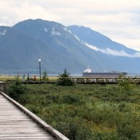 Estuary Boardwalk