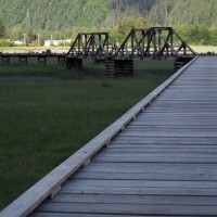 Estuary Boardwalk