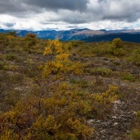 Spatzizi Plateau Wilderness Provincial Park