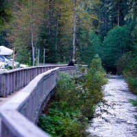 Fish Creek Wildlife Observation Site