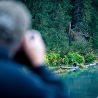 Fish Creek Wildlife Observation Site